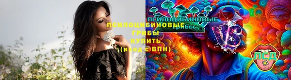 хмурый Краснослободск