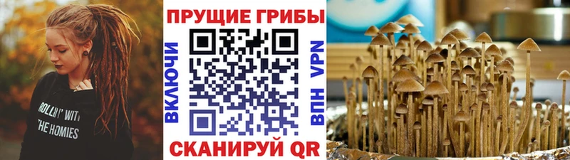 Купить закладки  Белорецк  Галлюциногенные грибы мицелий 